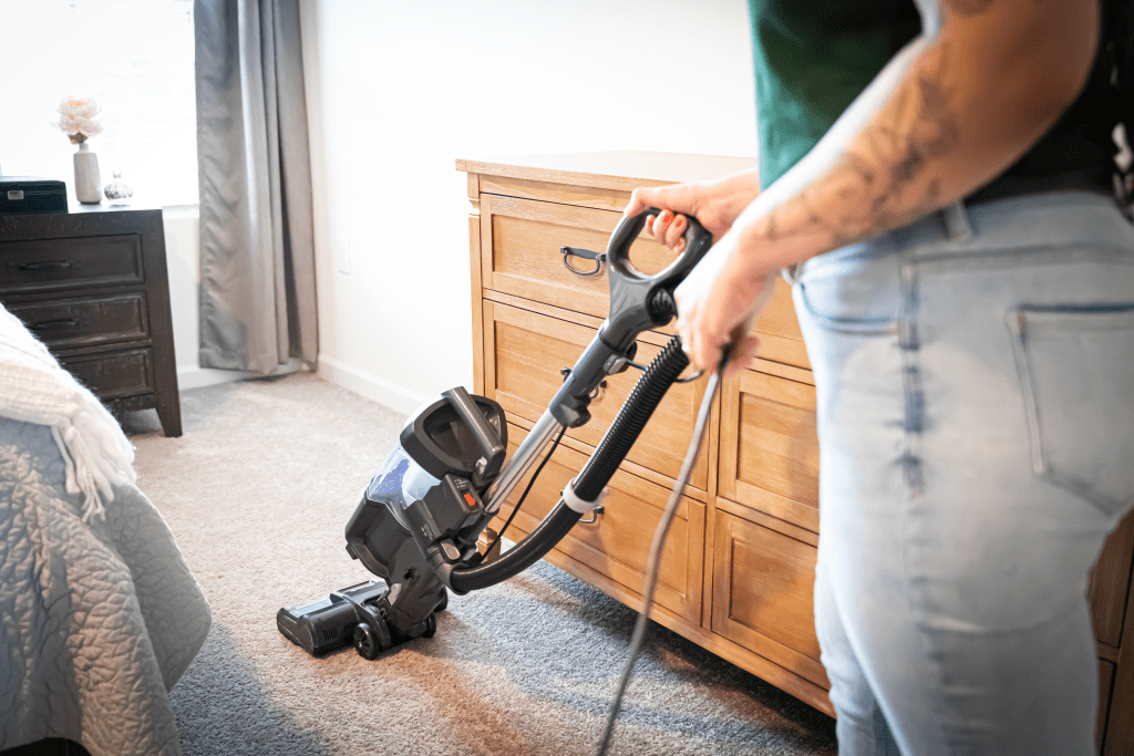 regular House Cleaning