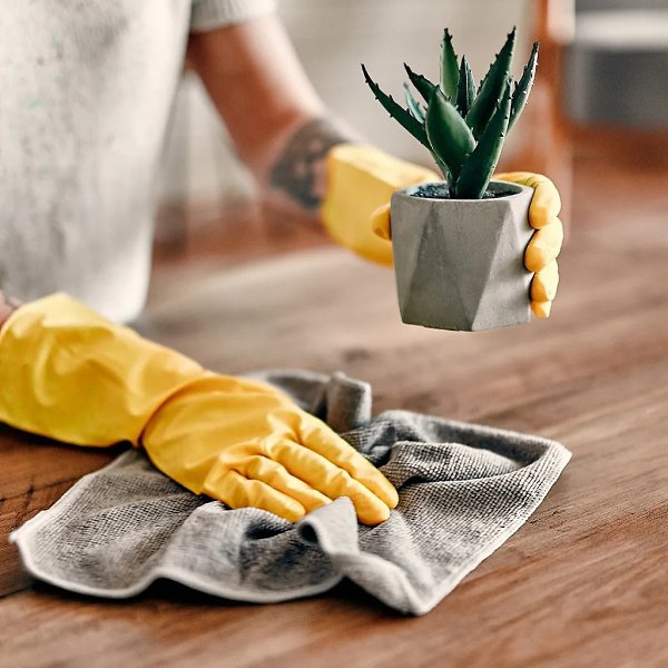 Professional end of lease cleaning service in a North Carolina apartment