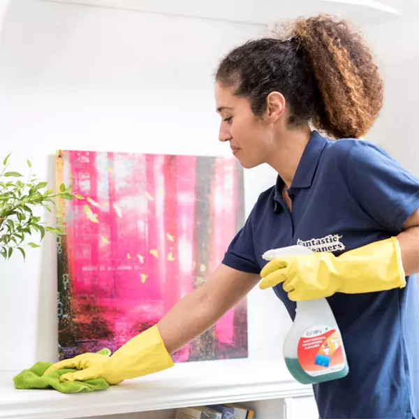 regular house cleaning cost Wake County